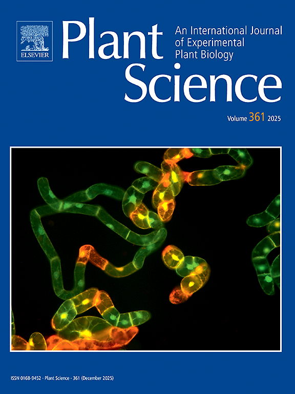 thumbnail of Genotypic control of root sodium uptake drives ion imbalance and stress sensitivity under salinity and waterlogging