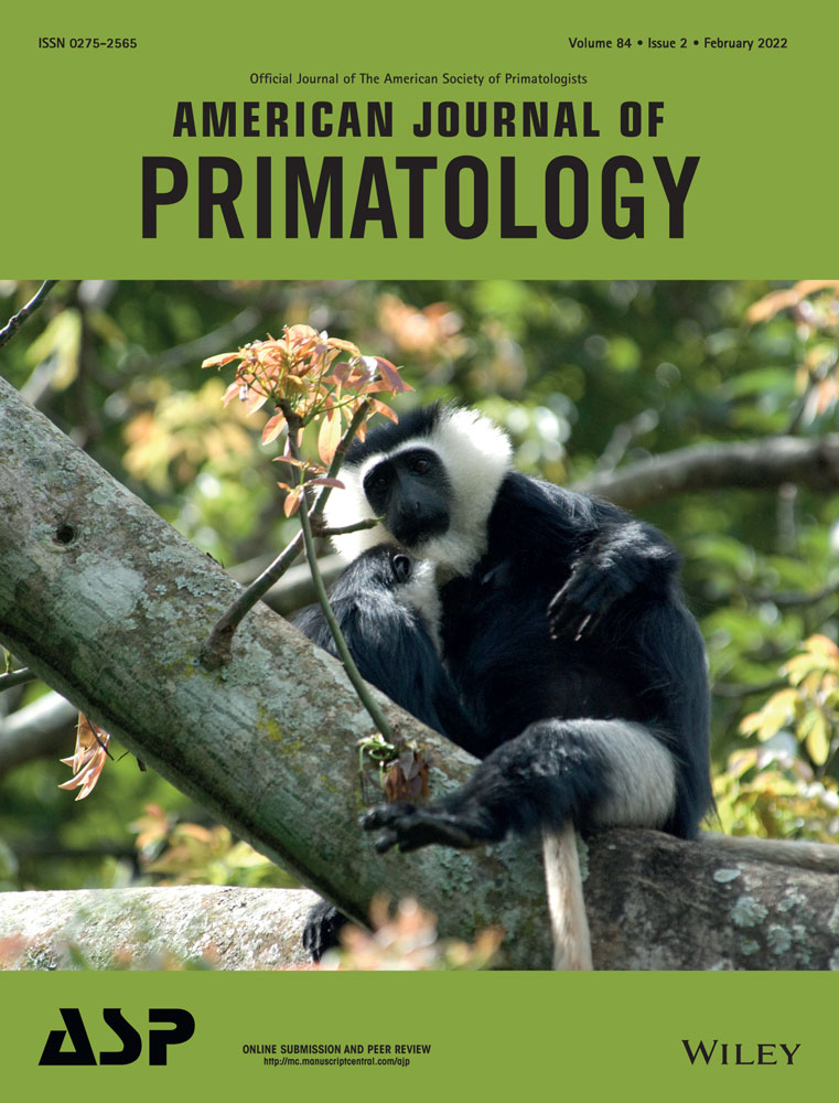 thumbnail of Altricial Patterns in Prenatal Skeletal Development of Two Large Neotropical Primates: The Poeppig's Woolly Monkey and the Juruá Red Howler Monkey