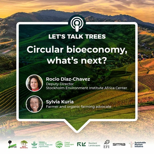 thumbnail of Circular bioeconomy, what next?