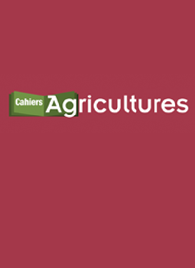thumbnail of Family farming through the lens of work organization. Illustrations from Africa