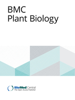 Phenology and floral morph variation suggest non-classical distyly in the Sisr&egrave; berry plant [Synsepalum dulcificum (Schumach. & Thonn.) Daniell, Sapotaceae]