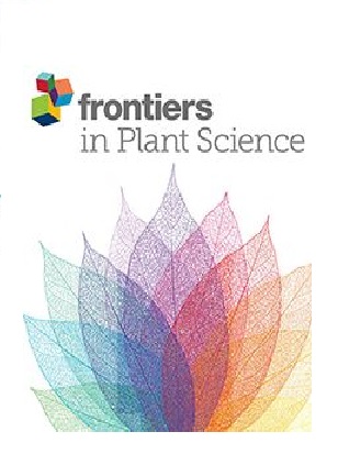 thumbnail of Tree diversity and soil fertility interactions drive carbon storage in degraded cocoa landscapes of Côte d’Ivoire