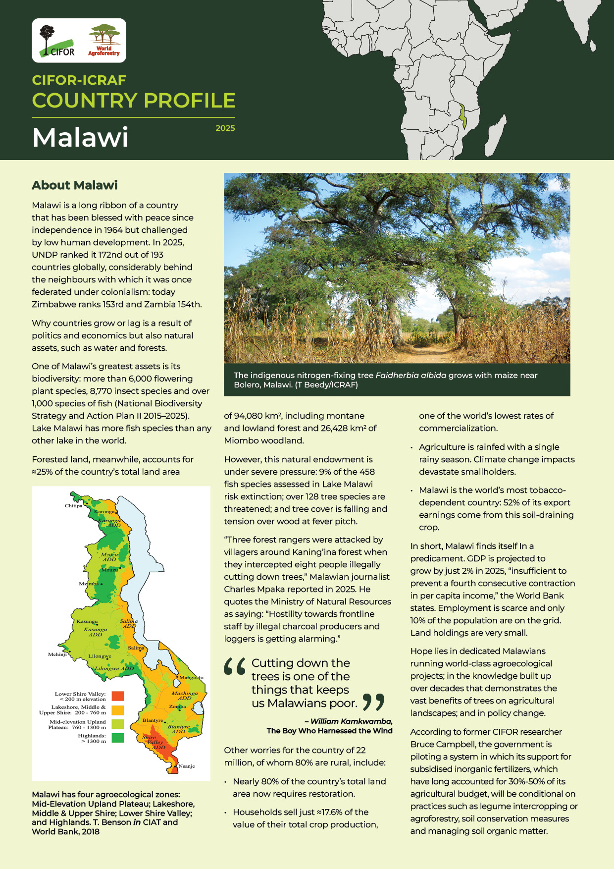 thumbnail of CIFOR-ICRAF COUNTRY PROFILE: Malawi