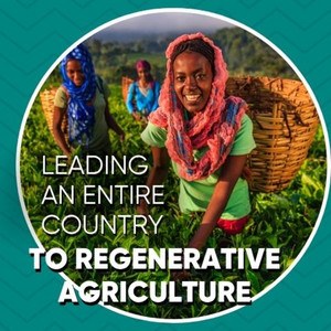 thumbnail of Radical Collaboration Towards Transforming Food Systems in Ethiopia