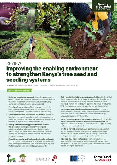thumbnail of Review: Improving the enabling environment to strengthen Kenya’s tree seed and seedling systems