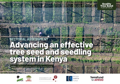 thumbnail of Sectoral assessment summary: Advancing an effective tree seed and seedling system in Kenya
