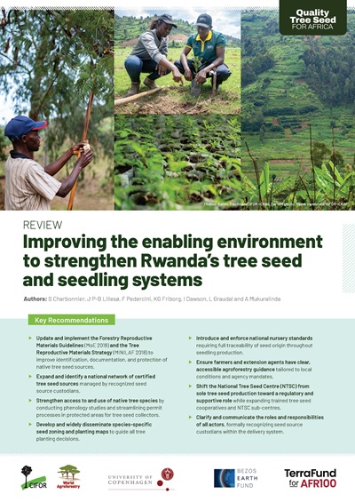 thumbnail of Review: Improving the enabling environment to strengthen Rwanda’s tree seed and seedling systems