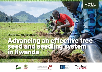 thumbnail of Sectoral assessment summary: Advancing an effective tree seed and seedling system in Rwanda