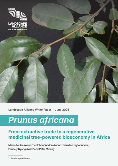 thumbnail of Prunus africana: From extractive trade to a regenerative medicinal tree-powered bioeconomy in Africa