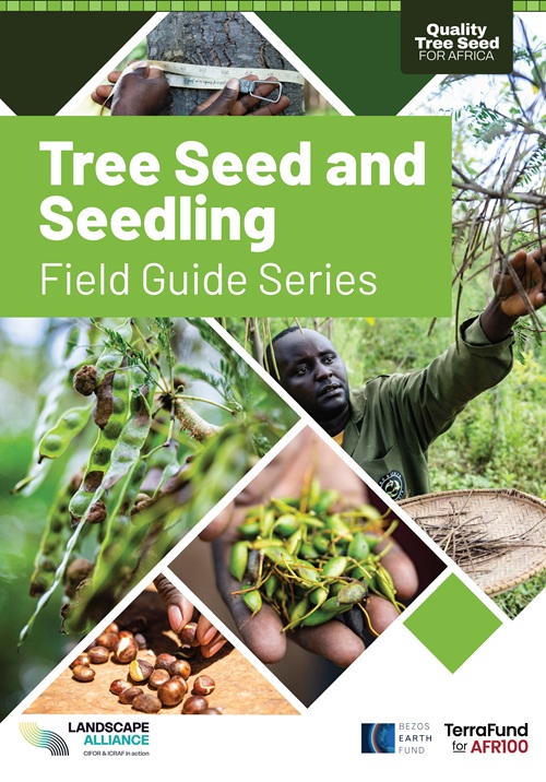 thumbnail of Tree Seed and Seedling Field Guide Series