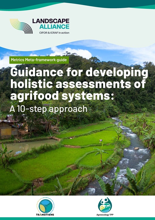 Metrics Meta-framework guide. Guidance for developing holistic assessments of agrifood systems: A 10-step approach