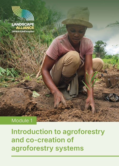 thumbnail of Agroforestry Module 1: Introduction to agroforestry and co-creation of agroforestry systems