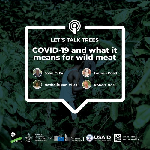 thumbnail of COVID-19 and what it means for wild meat
