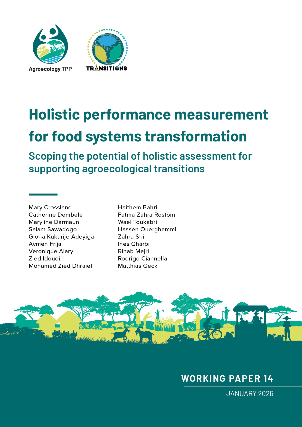 thumbnail of Holistic performance measurement for food systems transformation: Scoping the potential of holistic assessment for supporting agroecological transitions - Final Report