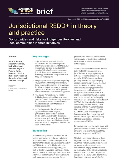 thumbnail of Jurisdictional REDD+ in theory and practice: Opportunities and risks for Indigenous Peoples and local communities in three initiatives