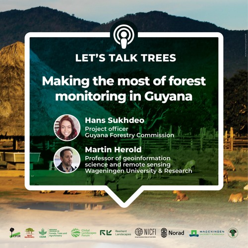 thumbnail of Making the most of forest monitoring in Guyana