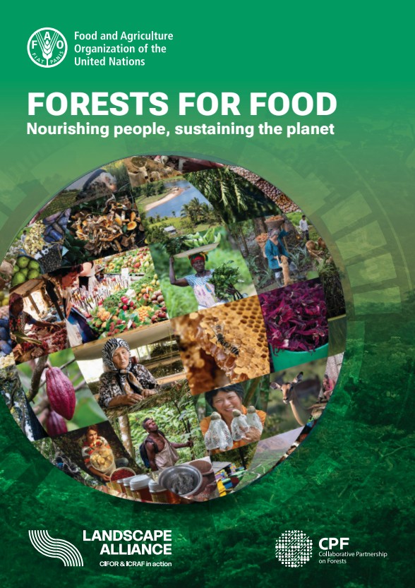 thumbnail of Forests for food: Nourishing people, sustaining the planet