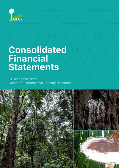 thumbnail of Consolidated Financial Statements 31 December 2025