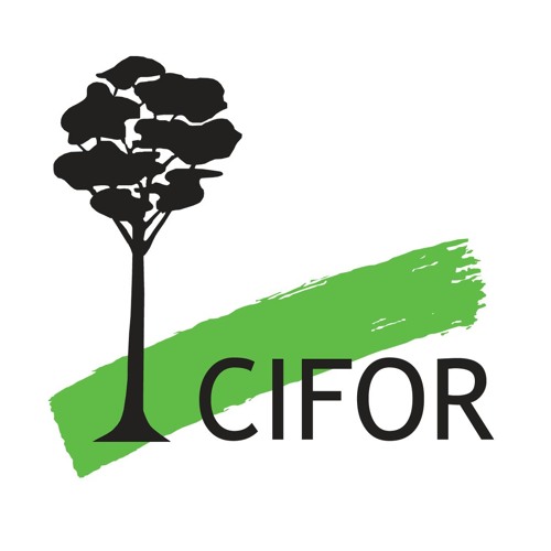 thumbnail of Outcome of Social Forestry Implementation in Lampung Province