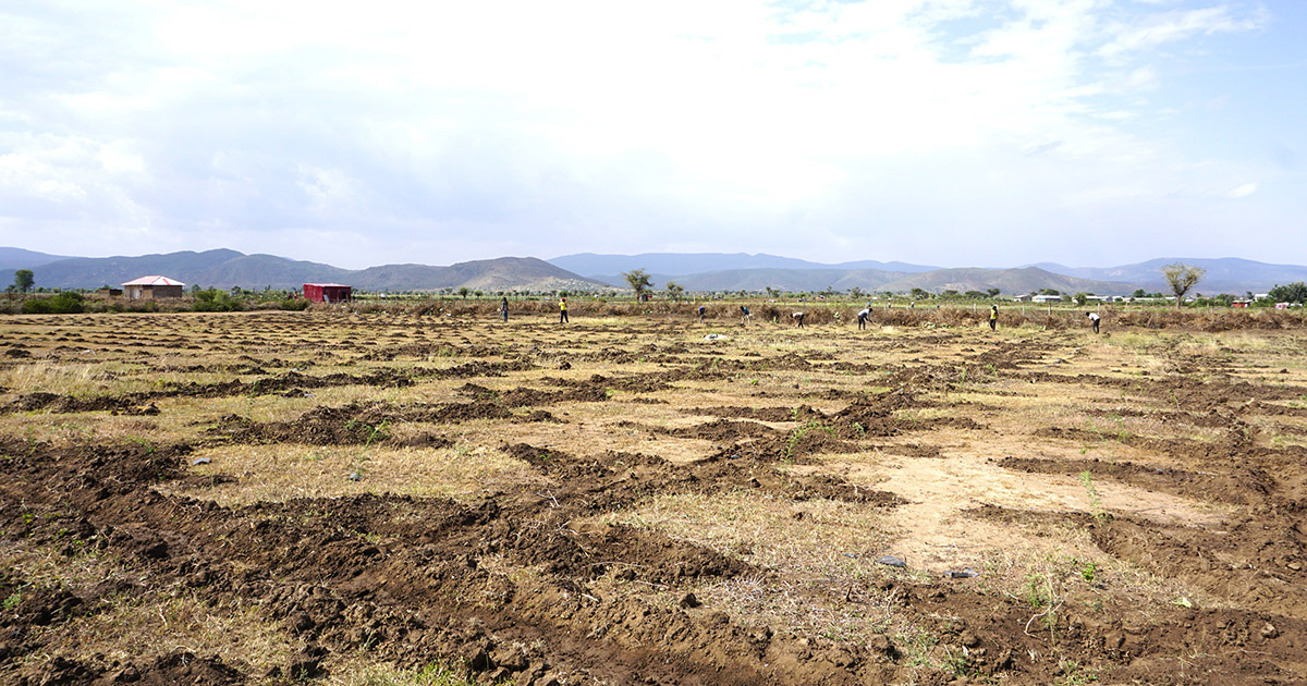 thumbnail of  Landscape Alliance receives praise for implementation of IKI RTRP-Seed project in Ethiopia
